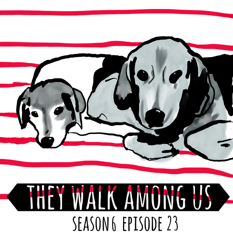 cover art for The Body Under The Brambles / The Murder Of Peter Wrighton