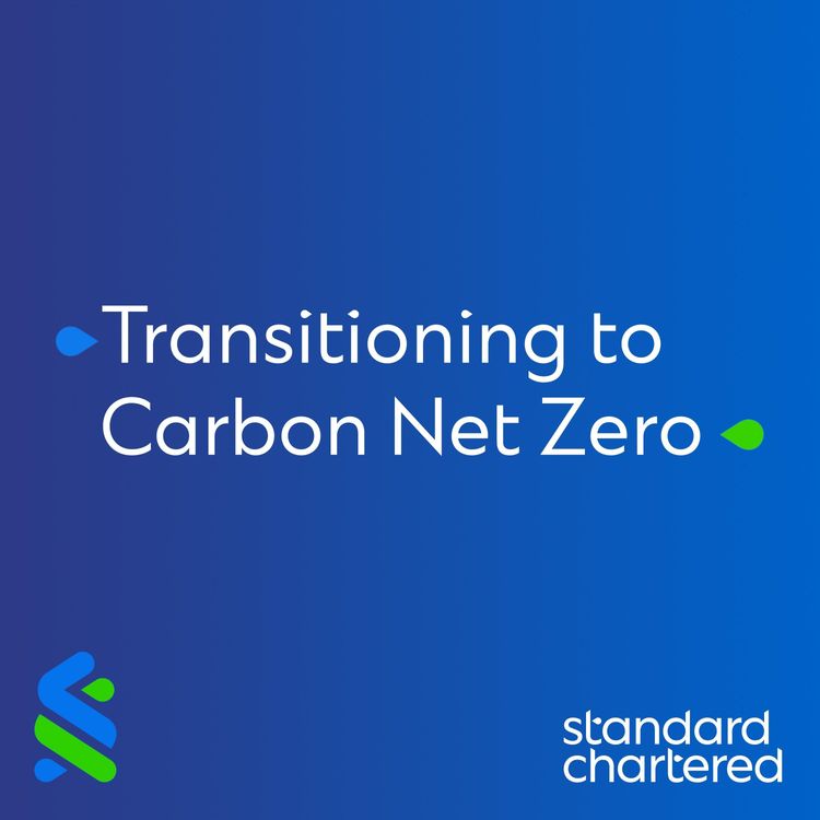 cover art for The Carbon Net Zero Challenge