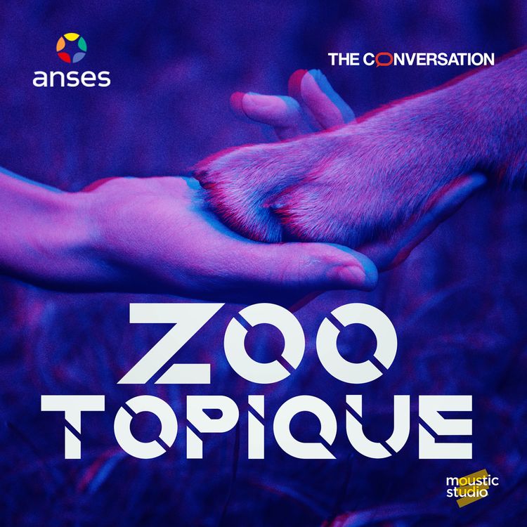 cover art for Teaser