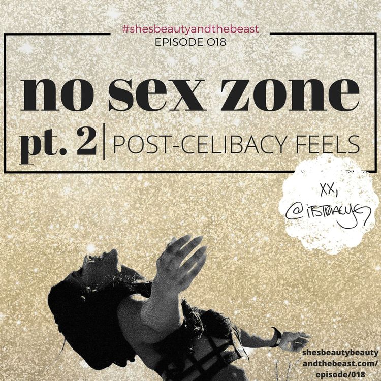 cover art for 020| No Sex Zone Pt. 2! Post-Celibacy Feels