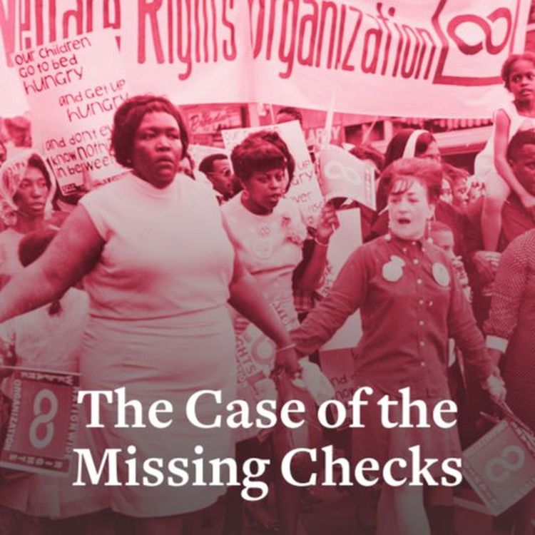 cover art for The Case of the Missing Checks