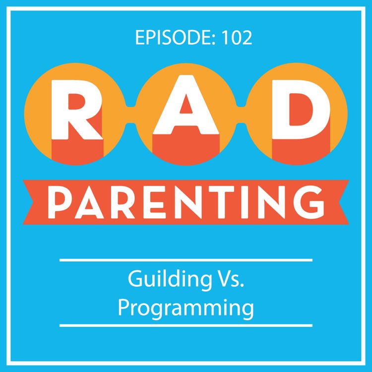 cover art for Guiding Vs. Programming