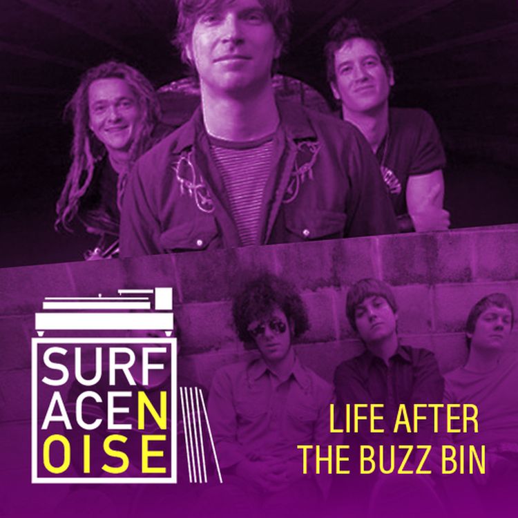 cover art for Life After the Buzz Bin