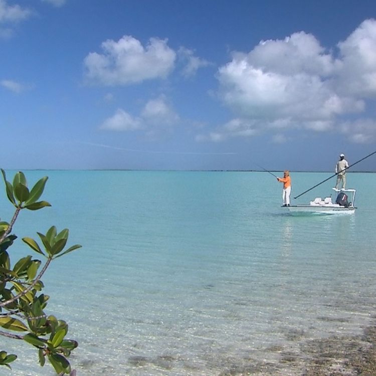 cover art for Bonus: Gone Fishing with Suze Orman