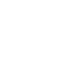 cover art for Susie Test Show