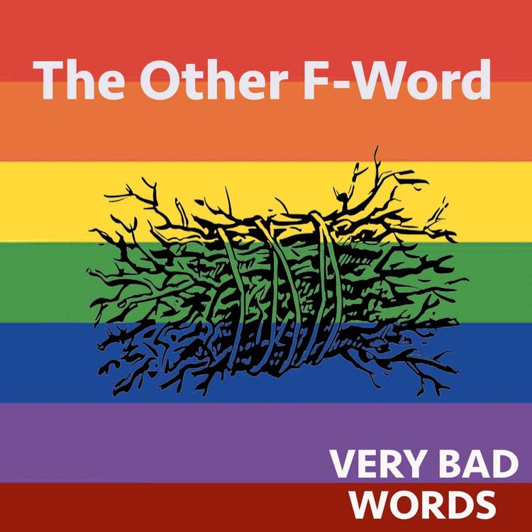 cover art for 23: The Other F-Word