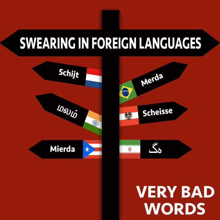 cover art for 9: Swearing in Foreign Languages