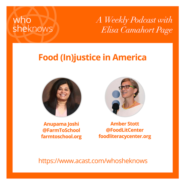 cover art for Episode #13: Food (In)Justice in America