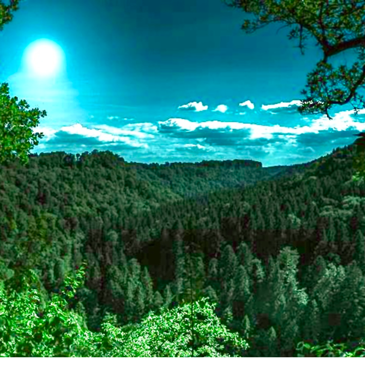 cover art for El hombre del hoyo (24 años en absoluta soledad)