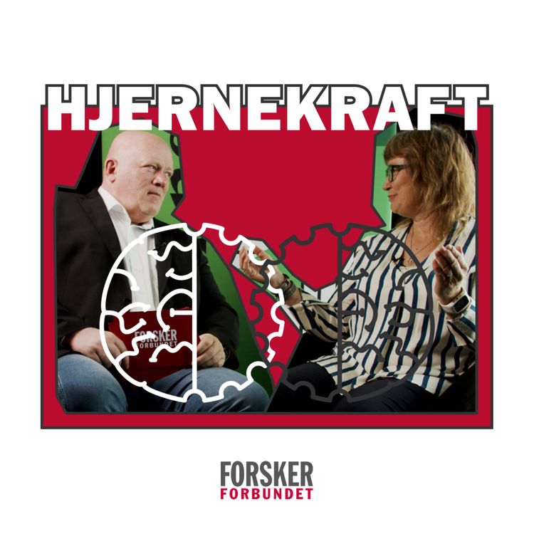 cover art for HINN: Organiser deg!