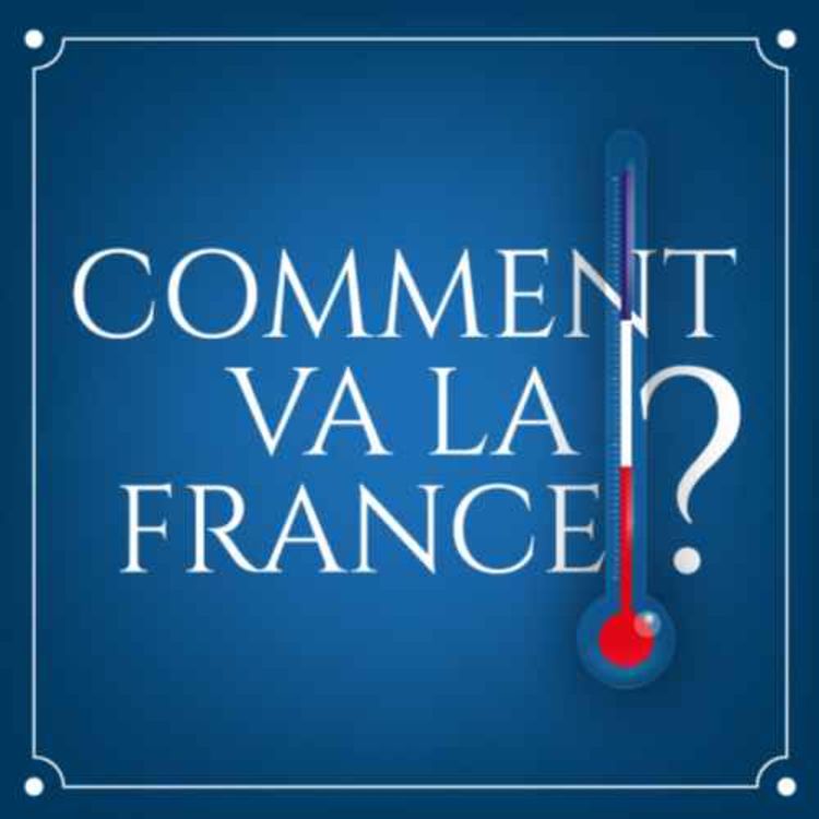 cover art for Les énarques, ou la parole économique confisquée