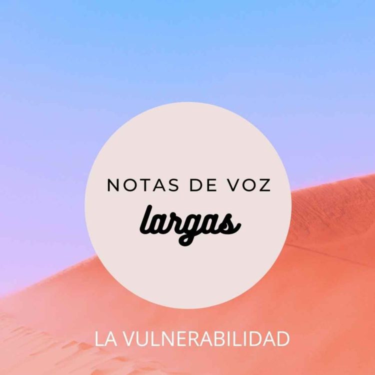 cover art for LA VULNERABILIDAD