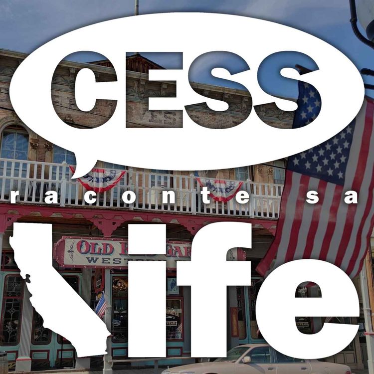 cover art for Les Expats répondent à vos clichés sur les USA