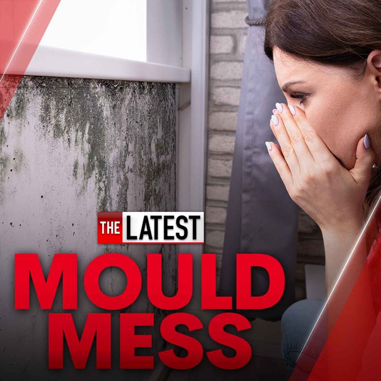 cover art for The Latest on Australia's mould mess