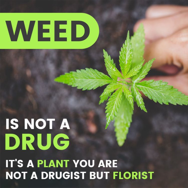 cover art for How Buy Weed For Gatineau Quebec Recreational – The Ultimate Guide