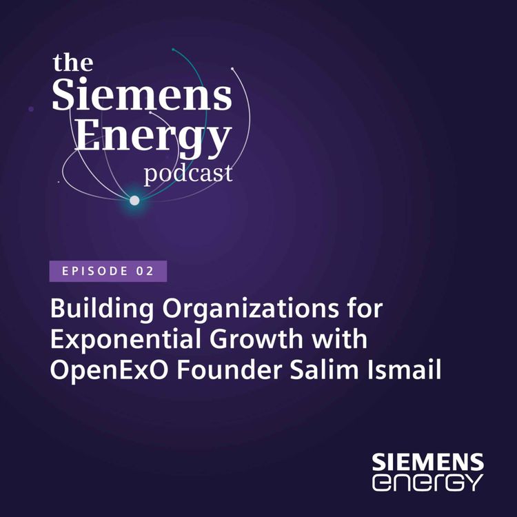 cover art for Building Organizations for Exponential Growth with OpenExO Founder Salim Ismail