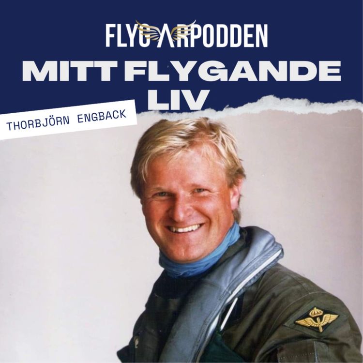 cover art for Stridspiloten - Hotet från Ryssland