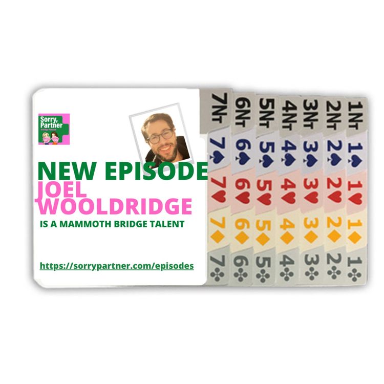 cover art for Joel Wooldridge Is a Mammoth Bridge Talent
