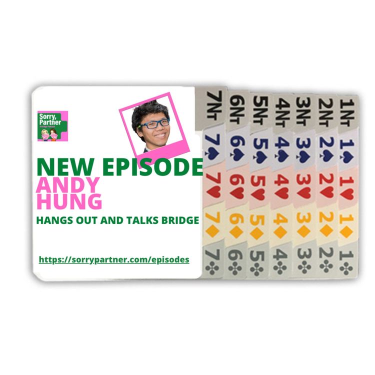 cover art for Andy Hung Hangs Out and Talks Bridge