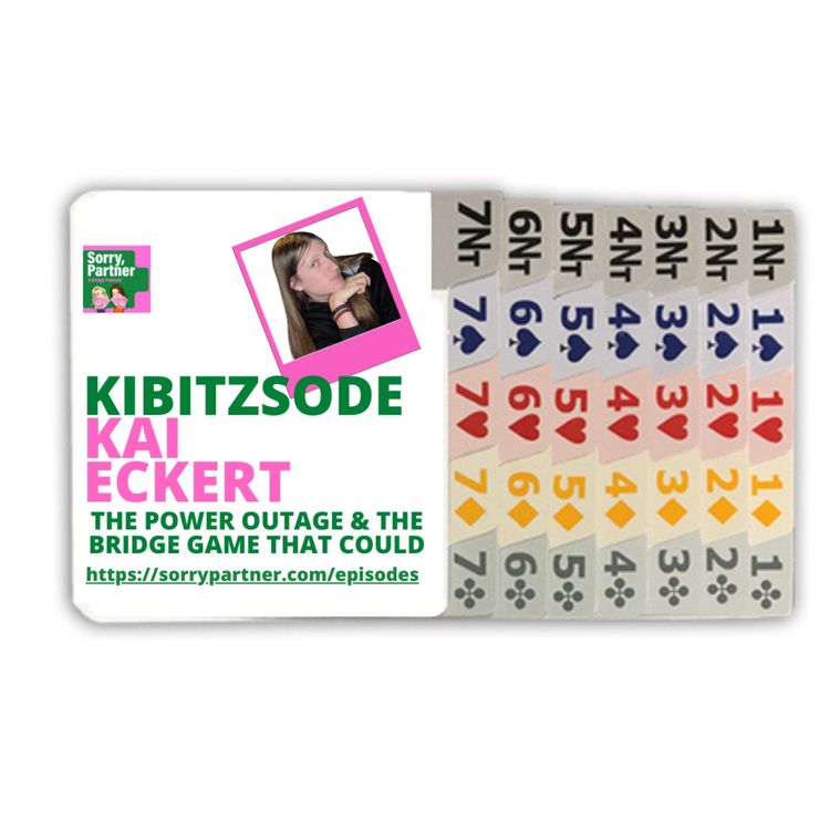 cover art for Kibitzsode: The Power Outage and the Bridge Game That Could