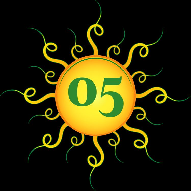 cover art for Shine Anthology: Interview with Jetse de Vries