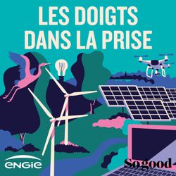 cover art for Les doigts dans la prise