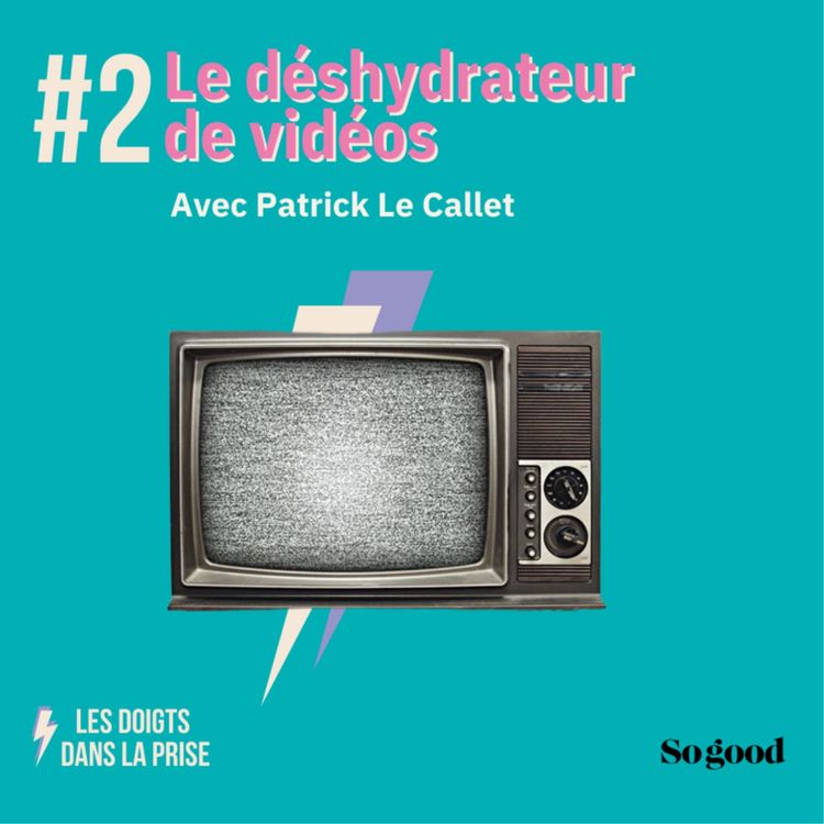 cover art for Episode 2: Patrick Le Callet, le déshydrateur de vidéos