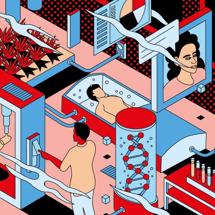 cover art for Het gesprek over het juiste