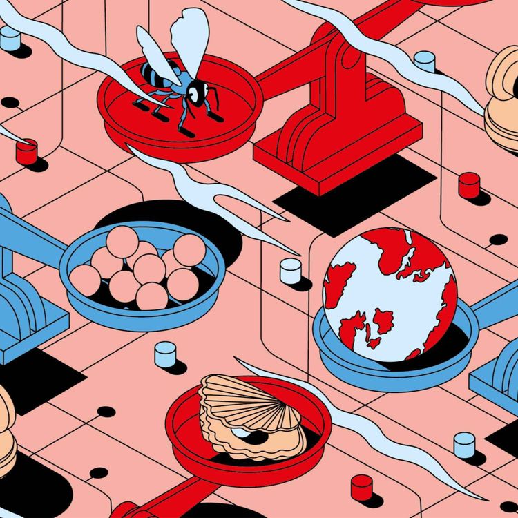 cover art for Over hele grote veranderingen