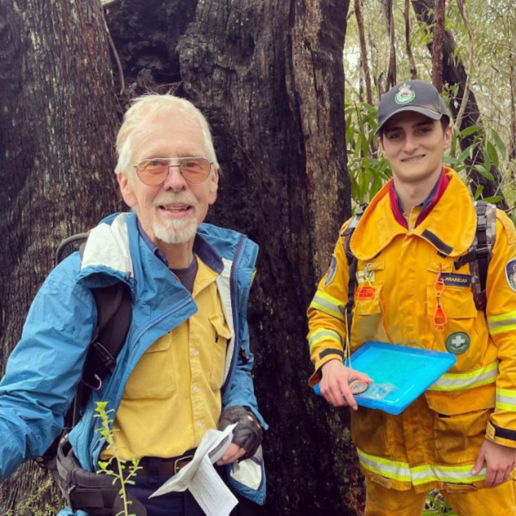 cover art for Back To The Bush Part 2