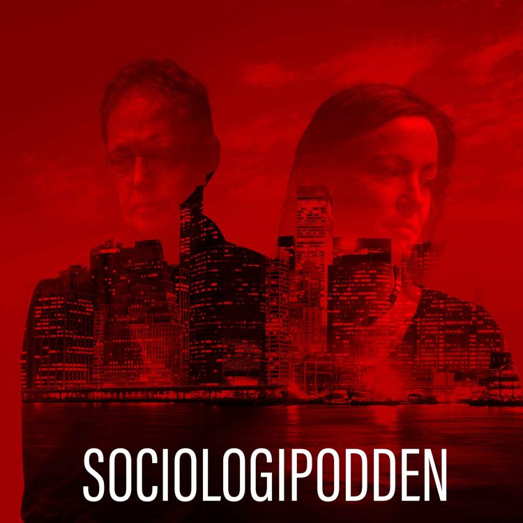 cover art for Avsnitt 8: Pandemi och sociologi (bonusavsnitt live)