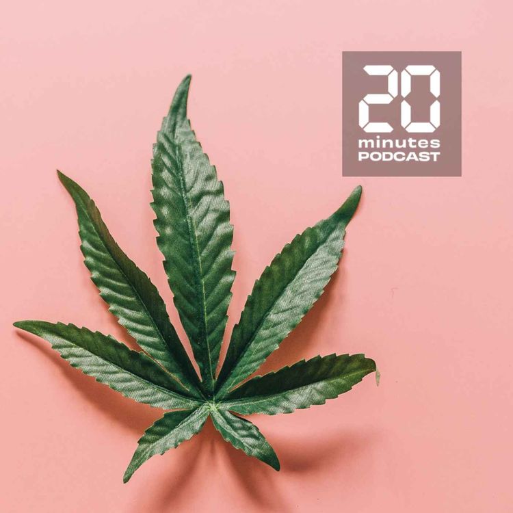 cover art for «Chouf», «guitarisé», les mots du trafic de drogue