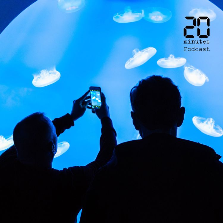 cover art for Les animaux du grand aquarium de Saint-Malo flippés au retour des visiteurs?