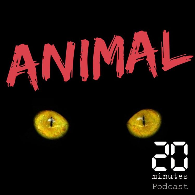 cover art for Les moutons dans la métropole parisienne