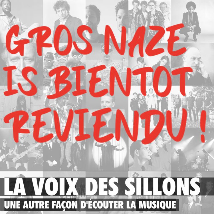 cover art for Gros Naze is bientot reviendu !