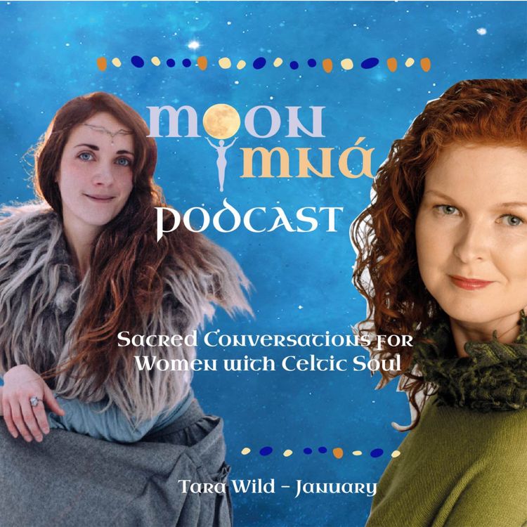 cover art for January - Tara Wild