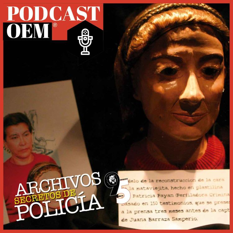 cover art for Entrevista: La dama del silencio