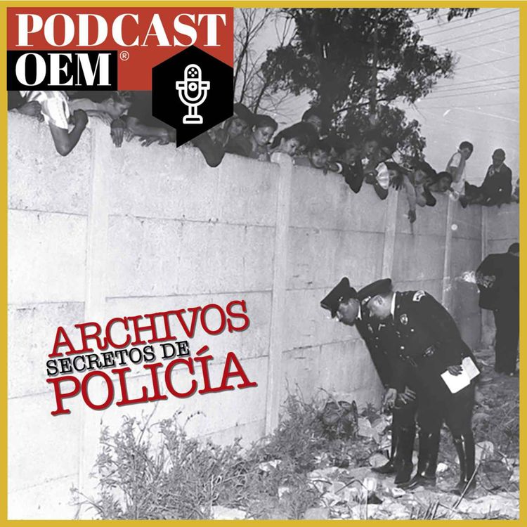 cover art for Terror en la colonia Cosmopolita