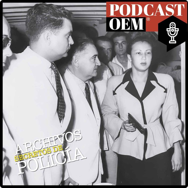 cover art for La trágica relación de Patricia Schmidt