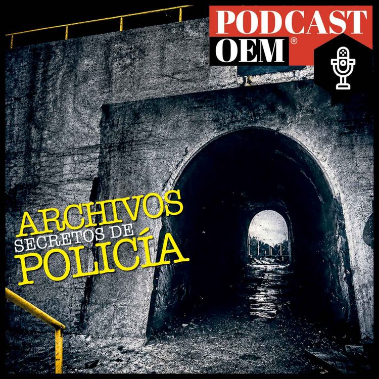 cover art for La tragedia del túnel 29