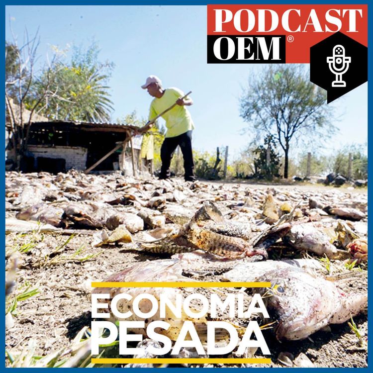 cover art for La Inversión Privada no espera una crisis