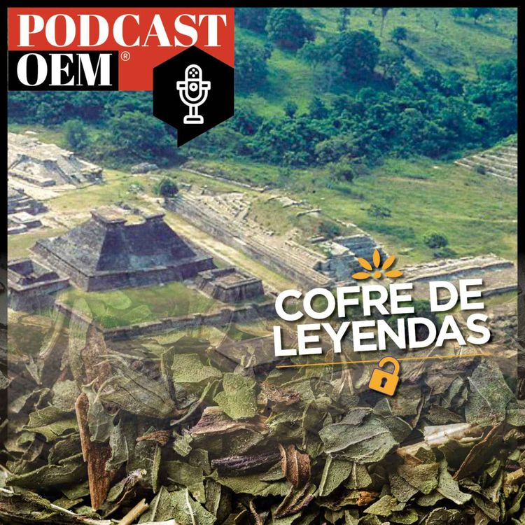 cover art for El origen de la vainilla