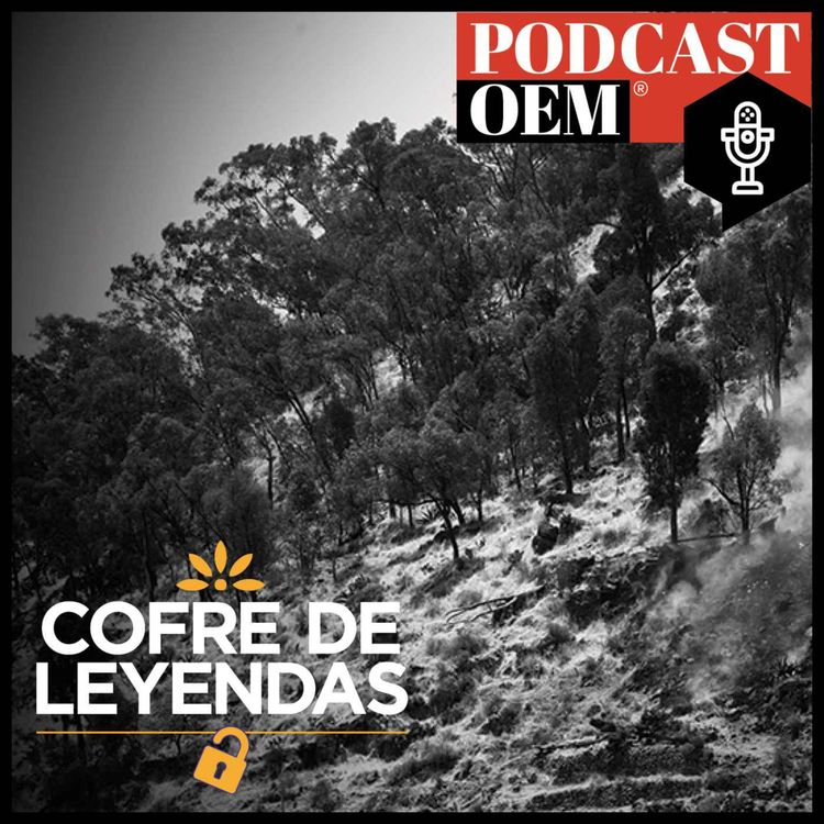 cover art for El cerro de la Teresona