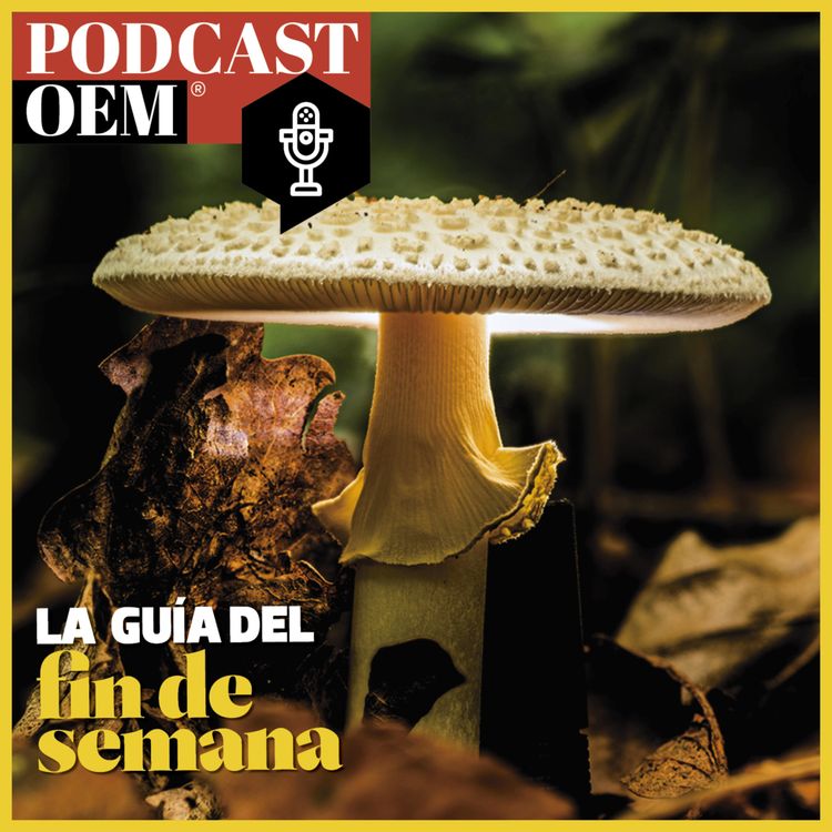 cover art for La Hongoteca para celebrar el Hongosto