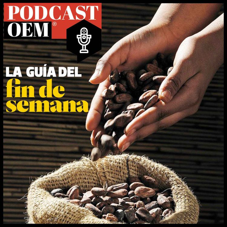 cover art for Festival Cacao para todos