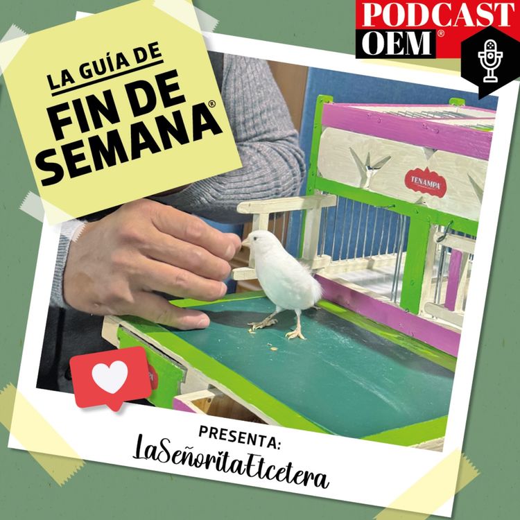 cover art for La guía callejera: Pajaritos de la suerte