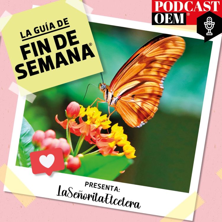 cover art for Un recorrido por el Mariposario de Chapultepec
