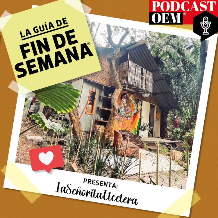 cover art for La historia del Huerto Roma Verde