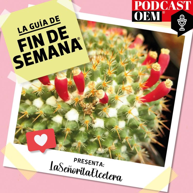 cover art for Por eventos con más cactáceas legales​