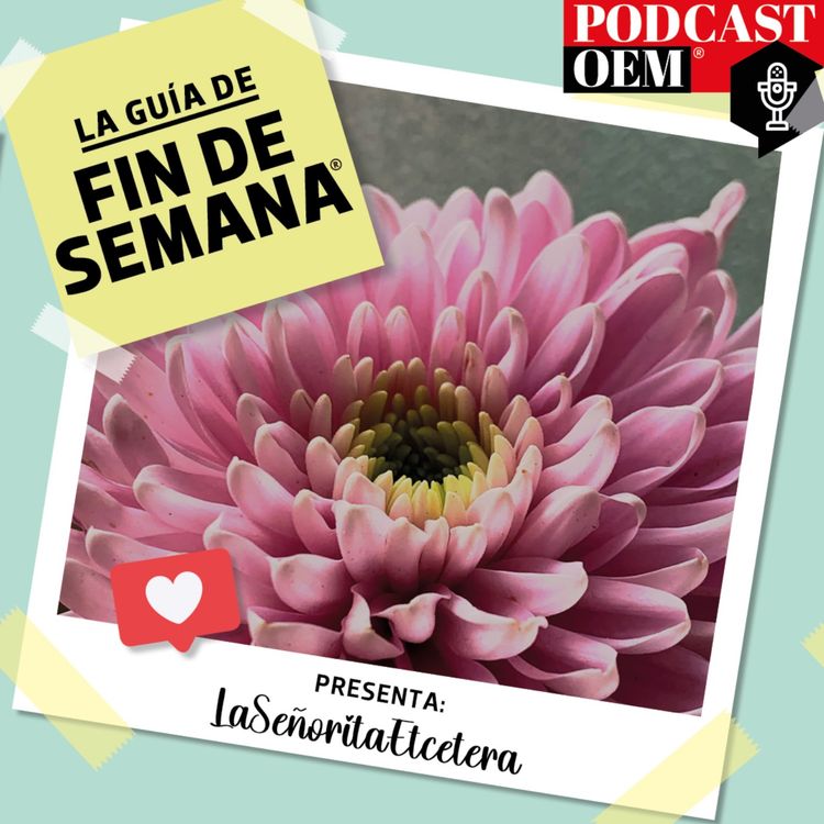 cover art for Dalia: Sigue a la flor nacional de México​